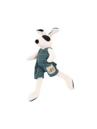 Moulin Roty - A Nagy család - Cézár kutya plüss játék (20 cm)